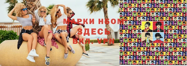 шишки Арсеньев