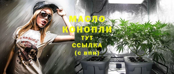 шишки Арсеньев