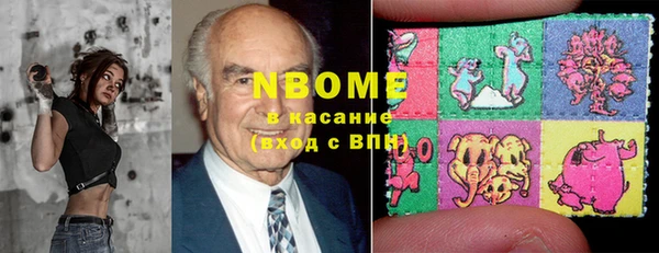 шишки Арсеньев