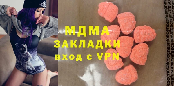 шишки Арсеньев