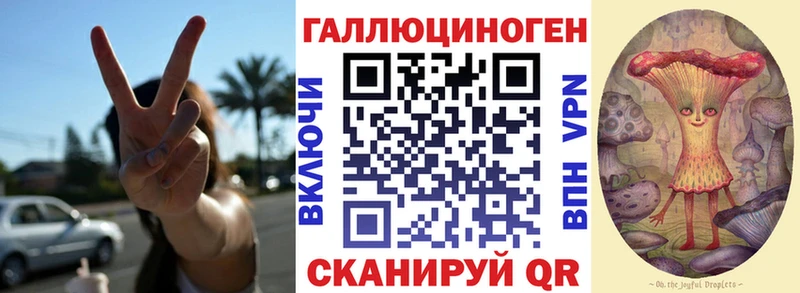 Псилоцибиновые грибы прущие грибы  купить наркоту  Тайшет 