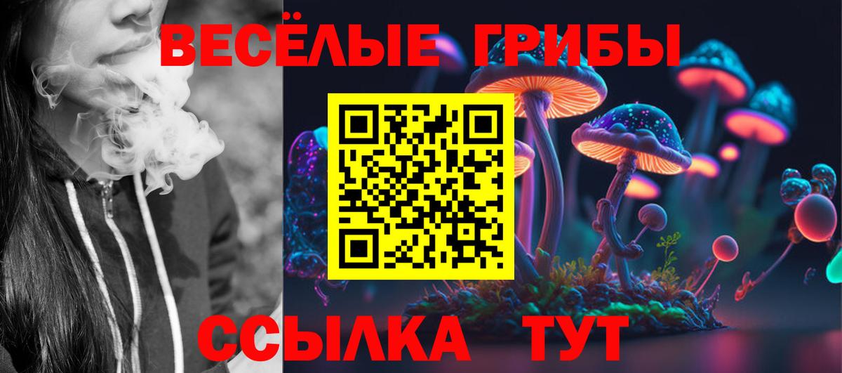 Псилоцибиновые грибы Magic Shrooms  Вход с VPN  Тайшет 