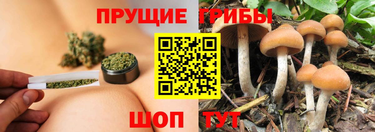 Галлюциногенные грибы мицелий Тайшет